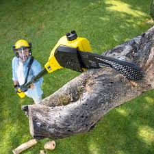 Best Weed Control  in Sweetwater, FL